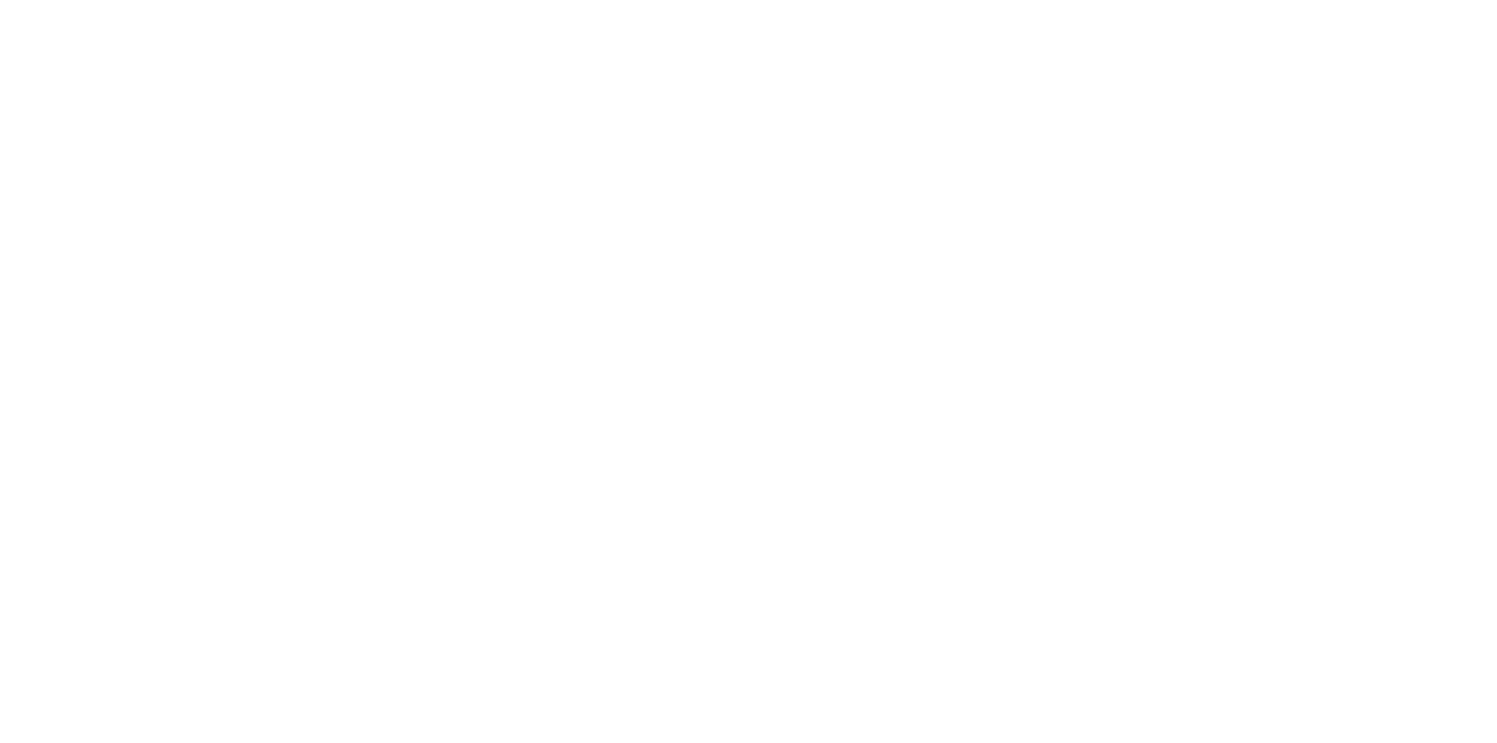 Flakko Burguer